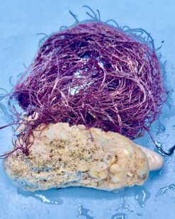 CrimsonFlow - Extrem robust, starker Nitratfilter